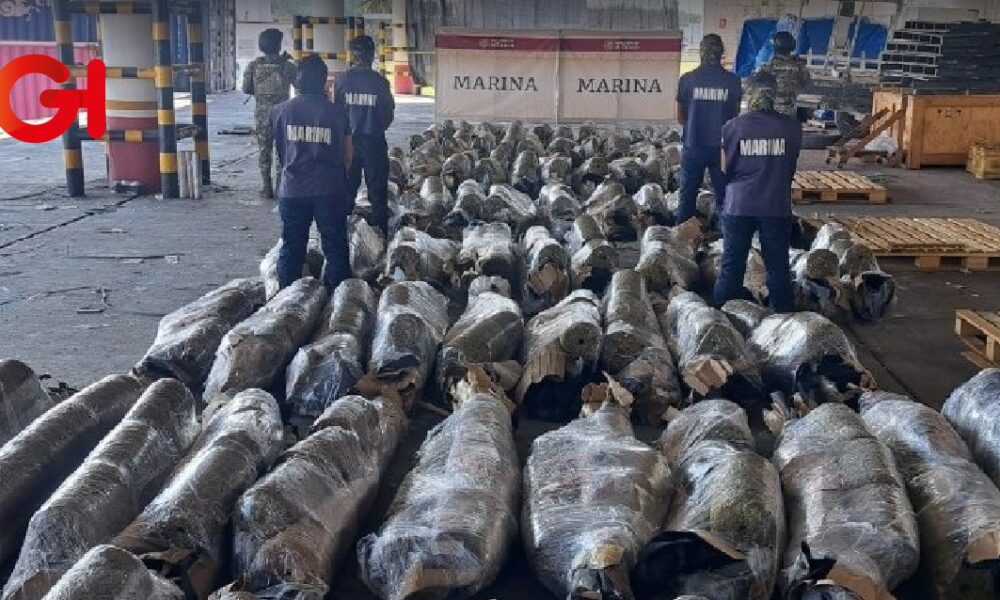 Semar asegura más de cuatro toneladas de marihuana en dos operativos en la aduana de Veracruz