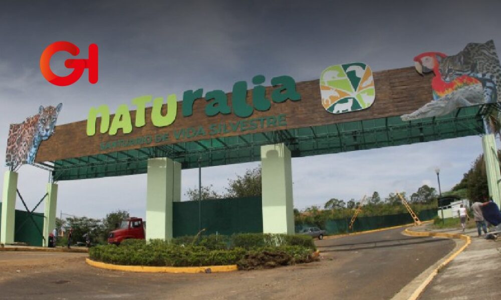 Naturalia, el nuevo santuario de vida silvestre en Xalapa abrirá este 24 de noviembre