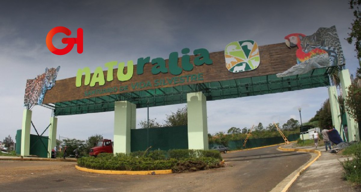 Naturalia, el nuevo santuario de vida silvestre en Xalapa abrirá este 24 de noviembre