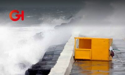 Alertan en Veracruz por Frente Frío 14: Activan Alerta Gris por fuertes vientos del norte