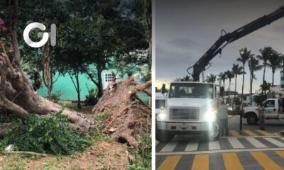 Fuertes vientos por el Norte dejan daños en Veracruz-Boca del Río