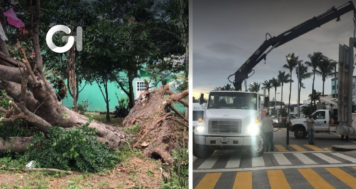 Fuertes vientos por el Norte dejan daños en Veracruz-Boca del Río